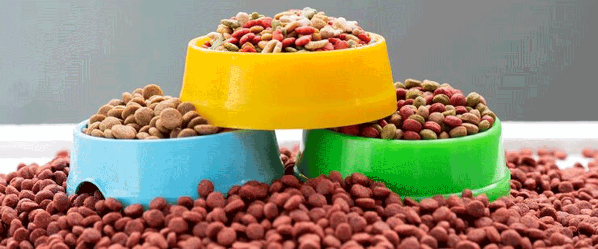 Royal Canin Launches Campaign Promoting Balanced Nutrition for Puppies and Kittens
