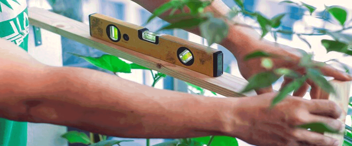 Greenply Unveils AI-Powered Campaign to Highlight Anti-Termite Plywood Technology